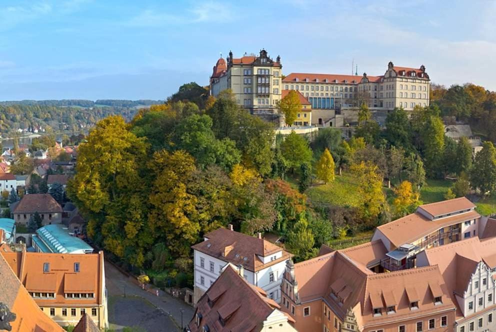 Apartment Altstadt Pirna Bagian luar foto